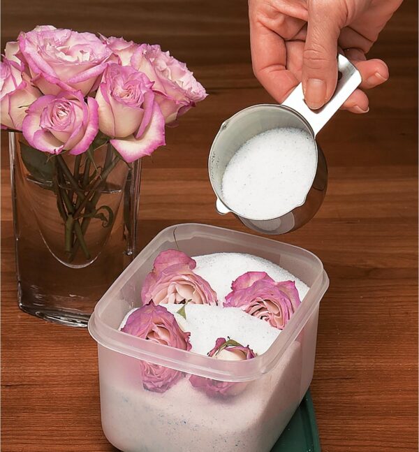FDSG Flower Dry silica gel